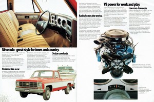 1979 Chevrolet V8 Trucks (Aus)-04-05.jpg